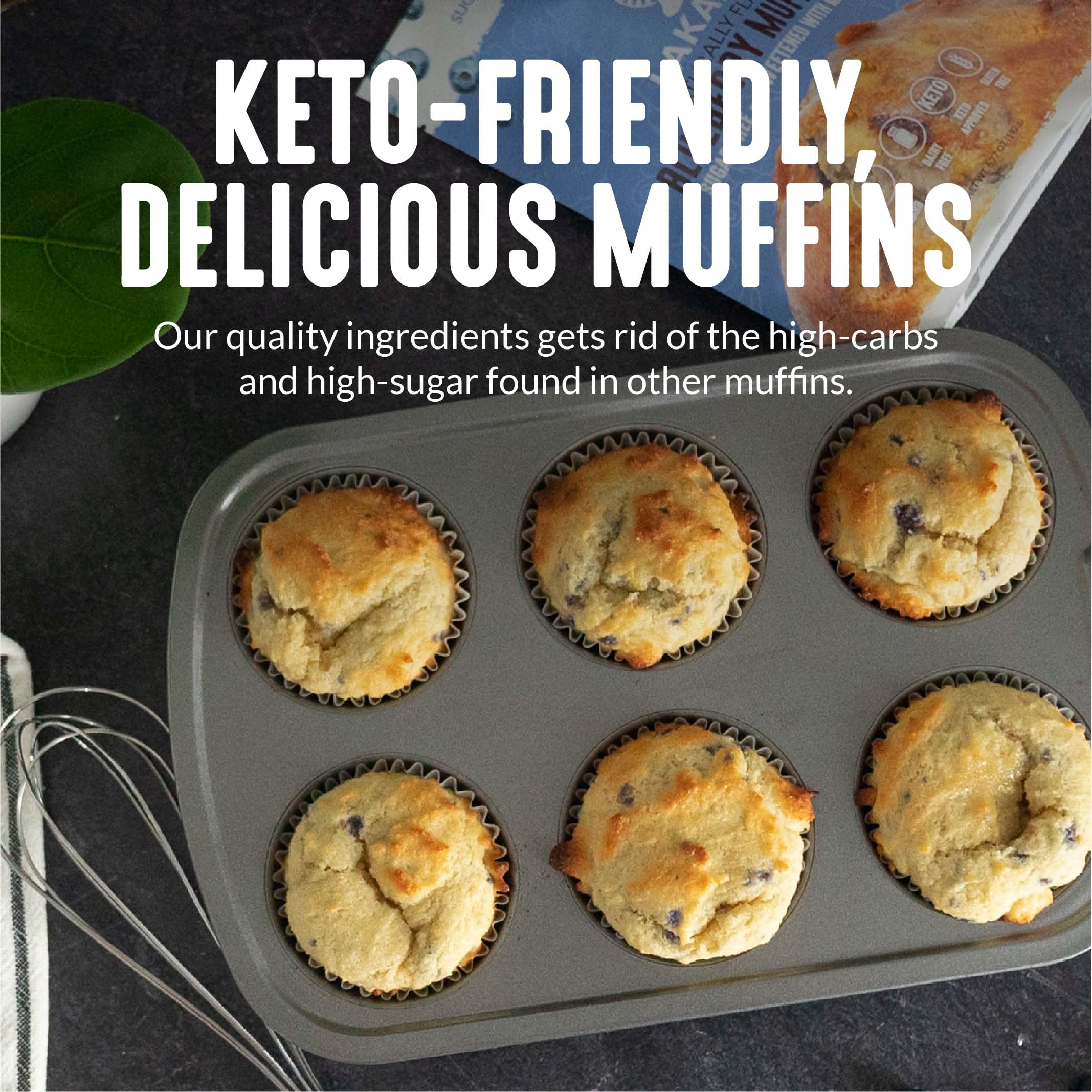 Sugar-Free Blueberry Muffin Mix - Image 3