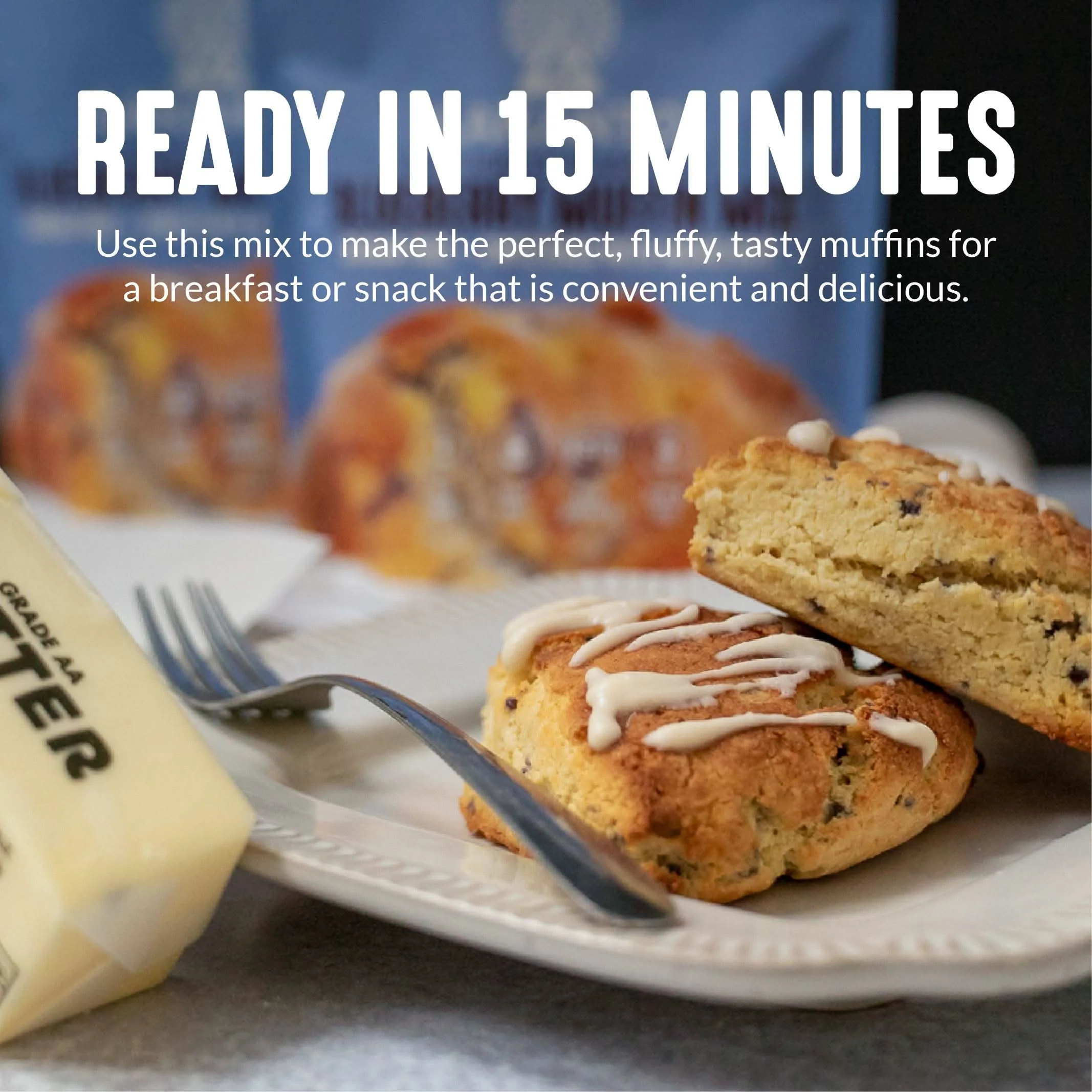 Sugar-Free Blueberry Muffin Mix - Image 5